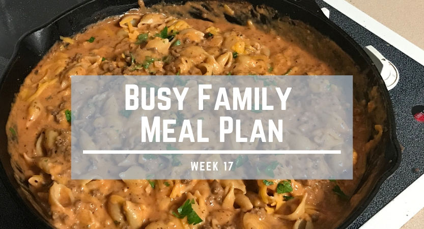 Busy Family Meal Plan